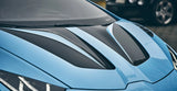 PAKTECHZ Carbon Fiber Front Hood Bonnet for Lamborghini Huracan LP580 LP610 EVO