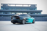 SD Carbon Side Skirts & Extensions For Tesla Model Y / Performance