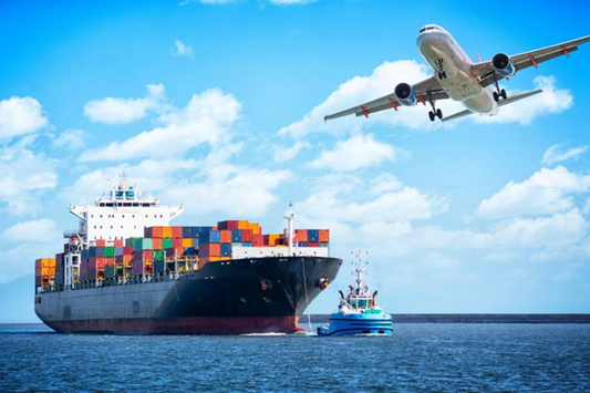 IMPORTANT: Shipping Times and What to Expect
