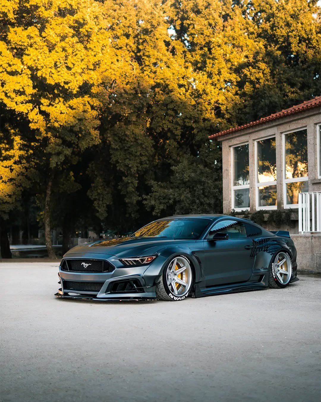 Ford Mustang — Robot Craftsman V2 Bodykit | Silver Stance Dubs