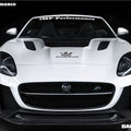 DarwinPRO 2013-2017 Jaguar F-Type Coupe & Convertible IMP Performance Partial Carbon Bodykit + Bonnet
