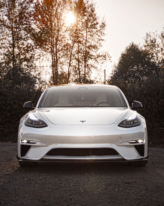 Robot Craftsman Tesla Model 3 