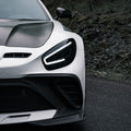 Robot Works Mercedes AMG GT Fibre Glass Reinforced Complete Body Kit (FRP)