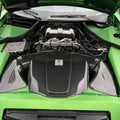 CMST Carbon Fiber Engine Cover for Mercedes Benz AMG GT & GTS & GTC & GTR 2015-ON - Robot Bodykits