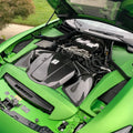 CMST Carbon Fiber Engine Cover for Mercedes Benz AMG GT & GTS & GTC & GTR 2015-ON - Robot Bodykits