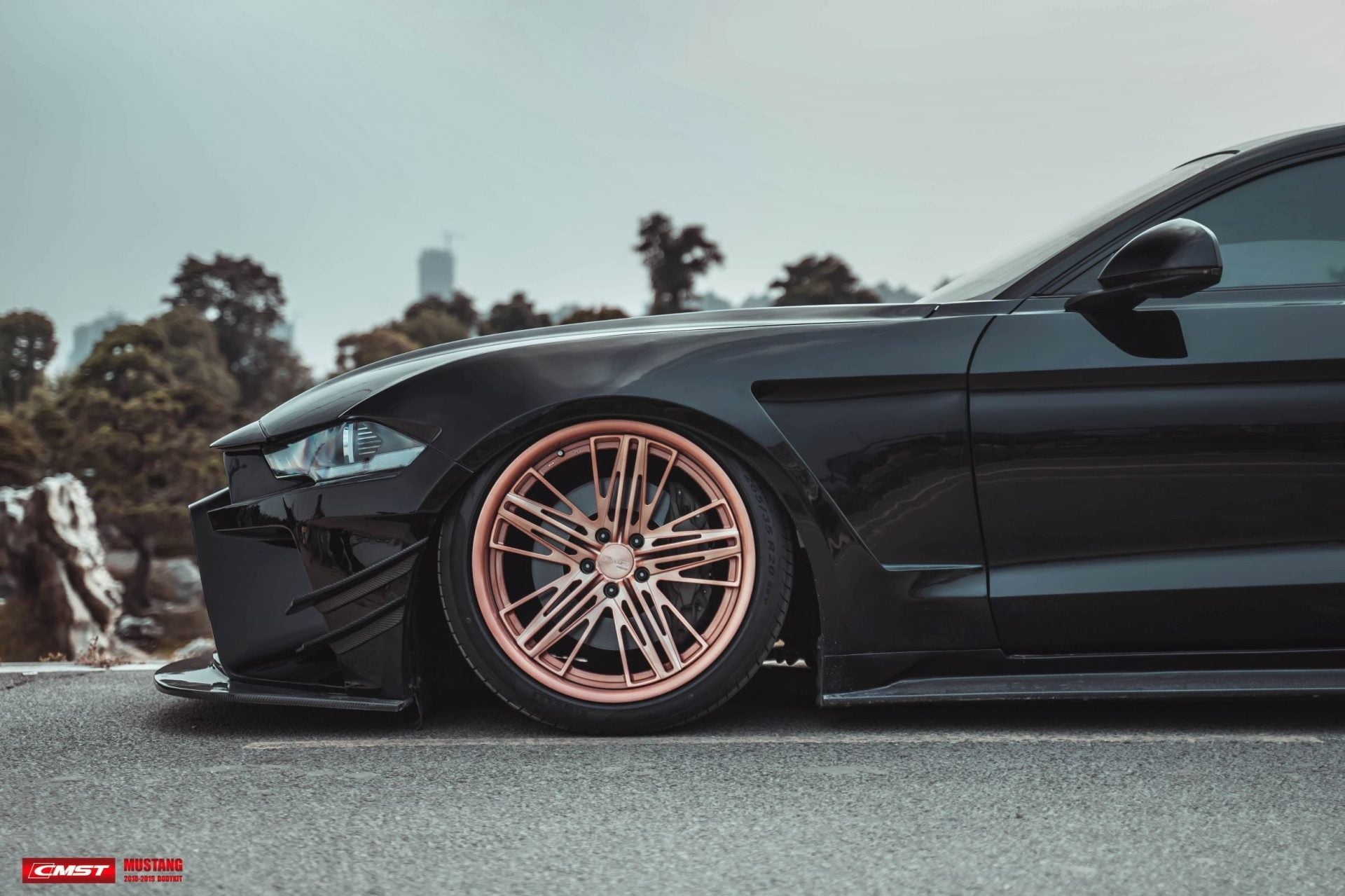 CMST Carbon Fiber Widebody kit for Ford Mustang S550.2 2018-ON - Robot Bodykits
