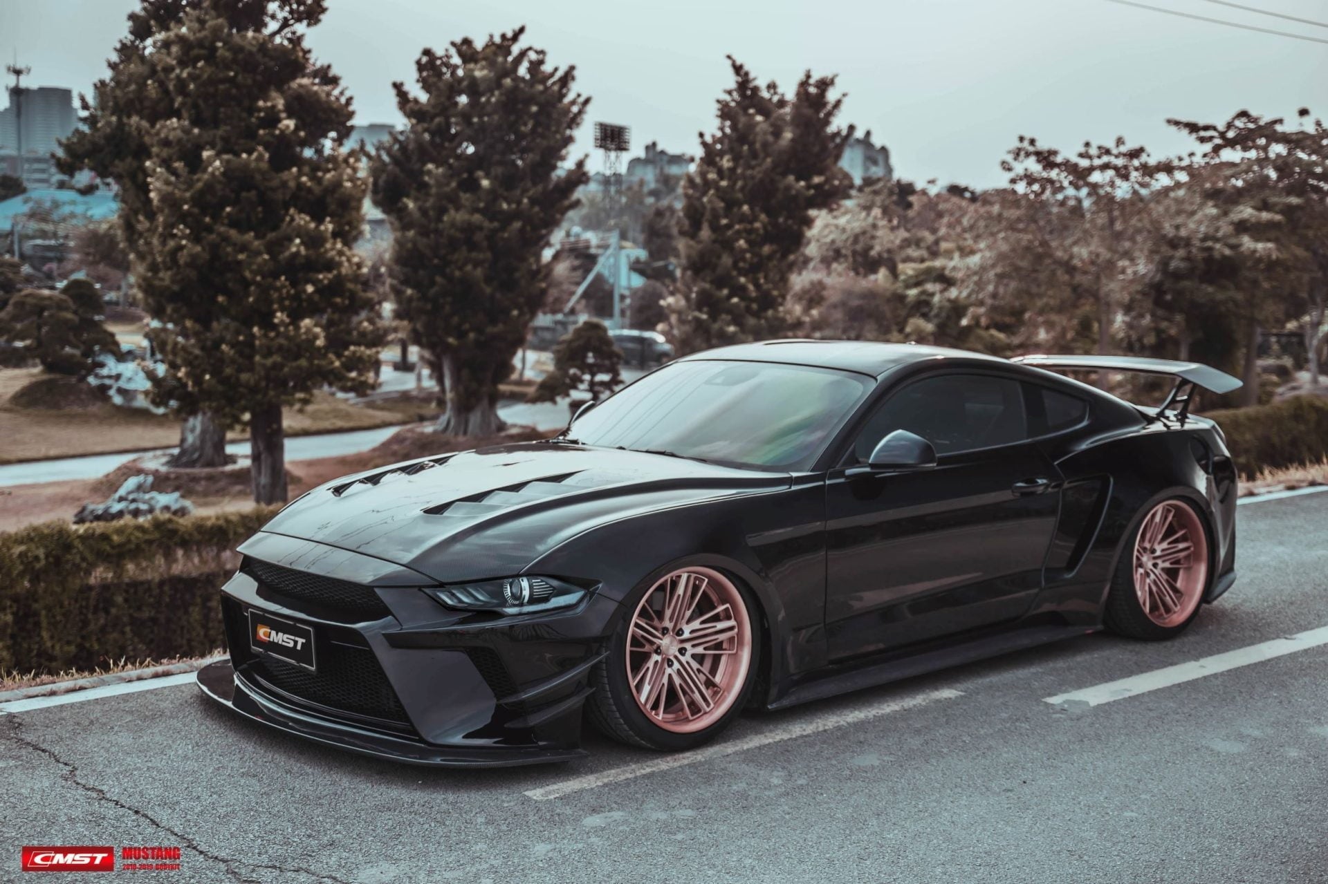 CMST Carbon Fiber Widebody kit for Ford Mustang S550.2 2018-ON - Robot Bodykits