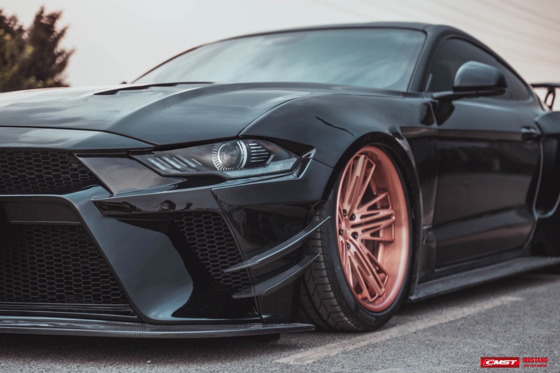 CMST Carbon Fiber Widebody kit for Ford Mustang S550.2 2018-ON - Robot Bodykits