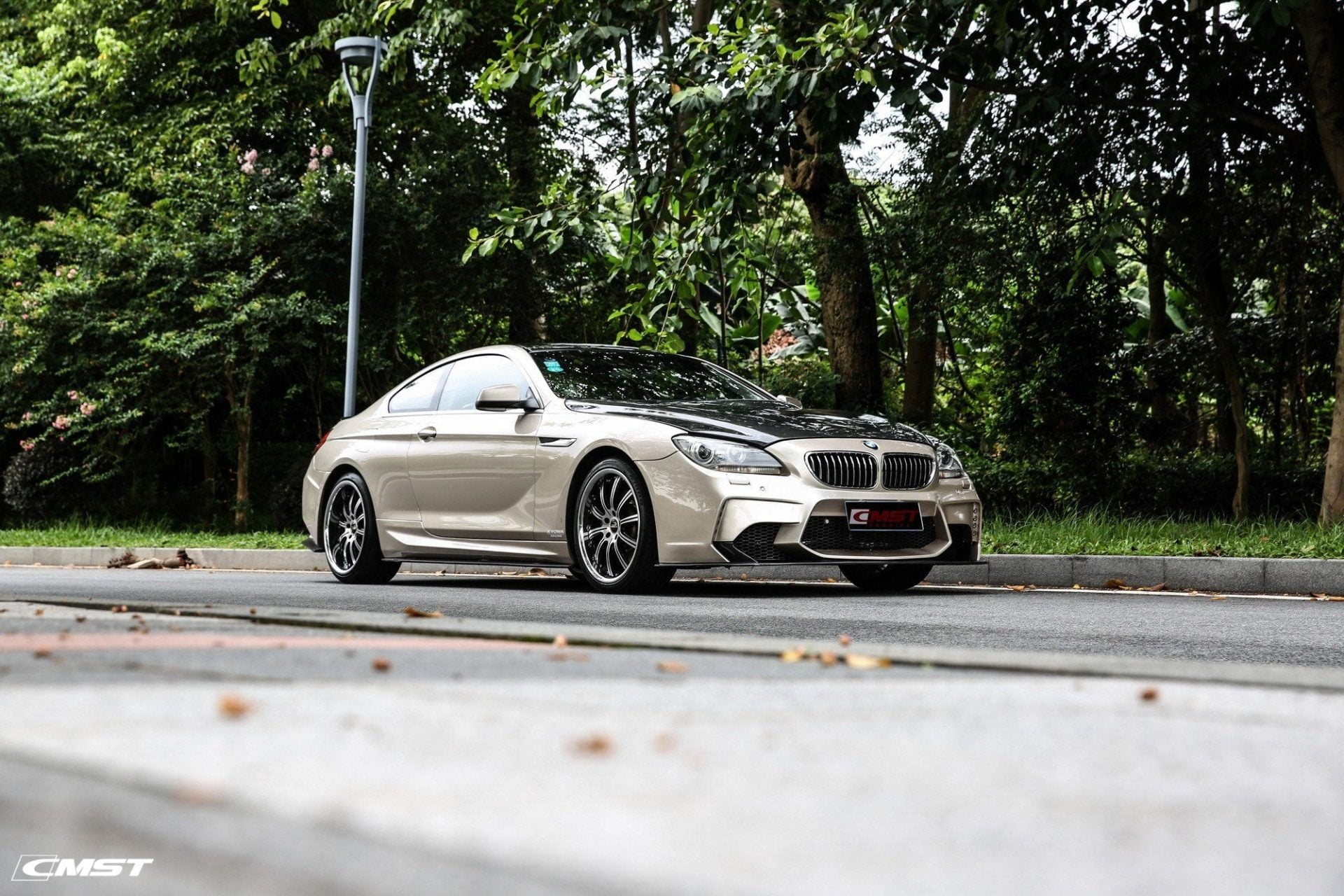 CMST Tuning Carbon Fiber Vented Hood For BMW M6 & 6 Series F06 F12 F13 2012-2016 - Robot Bodykits