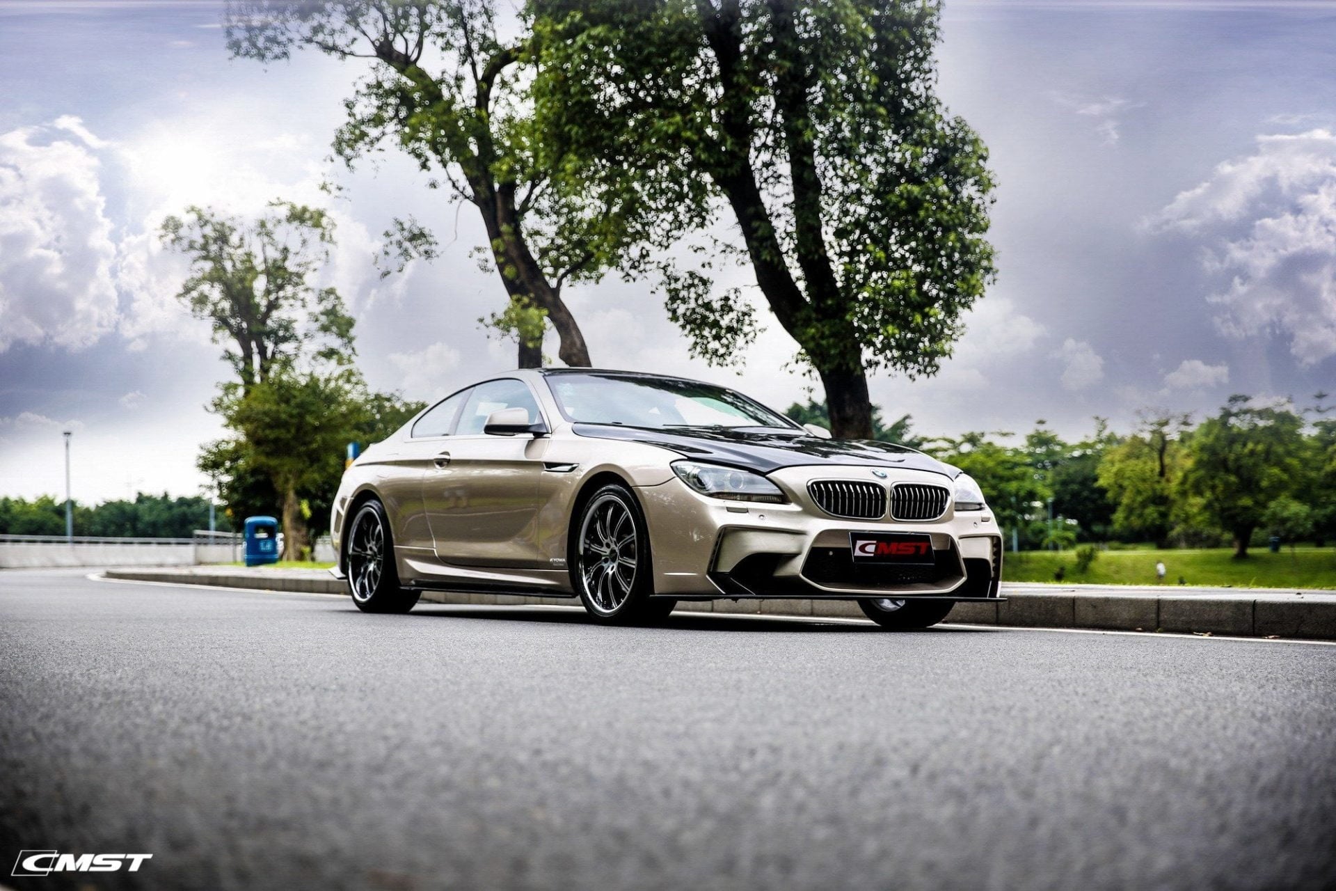 CMST Tuning Carbon Fiber Vented Hood For BMW M6 & 6 Series F06 F12 F13 2012-2016 - Robot Bodykits
