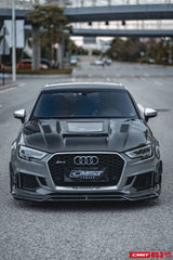 CMST Tuning Carbon Fiber Body Kit Package for Audi RS3 2018-2020