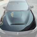 CMST Tuning Carbon Fiber Hood GTS Style BMW M3 / M4 F80 F82 F83 - Robot Bodykits