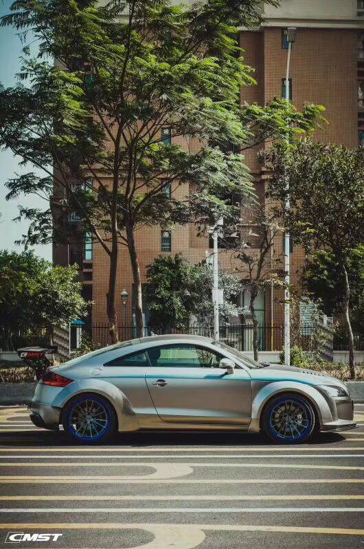 CMST Tuning Carbon Fiber Rear Spoiler Wing For Audi TT TTS MK2 8J 2007-2015