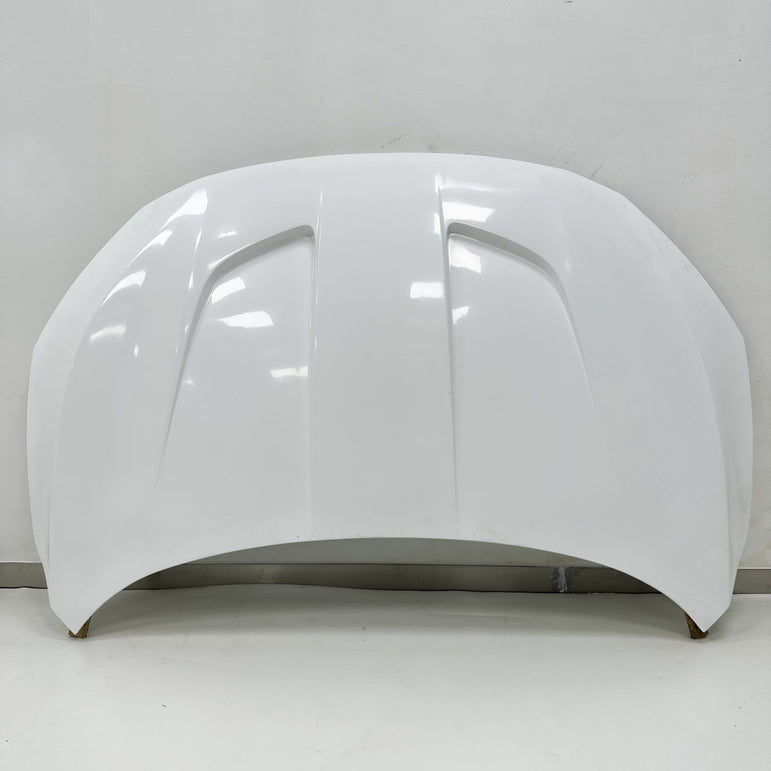 Robot Craftsman 10th Gen Honda Civic Body Kit Narrowbody Fibre Glass Reinforced Plastic Complete Body Kit