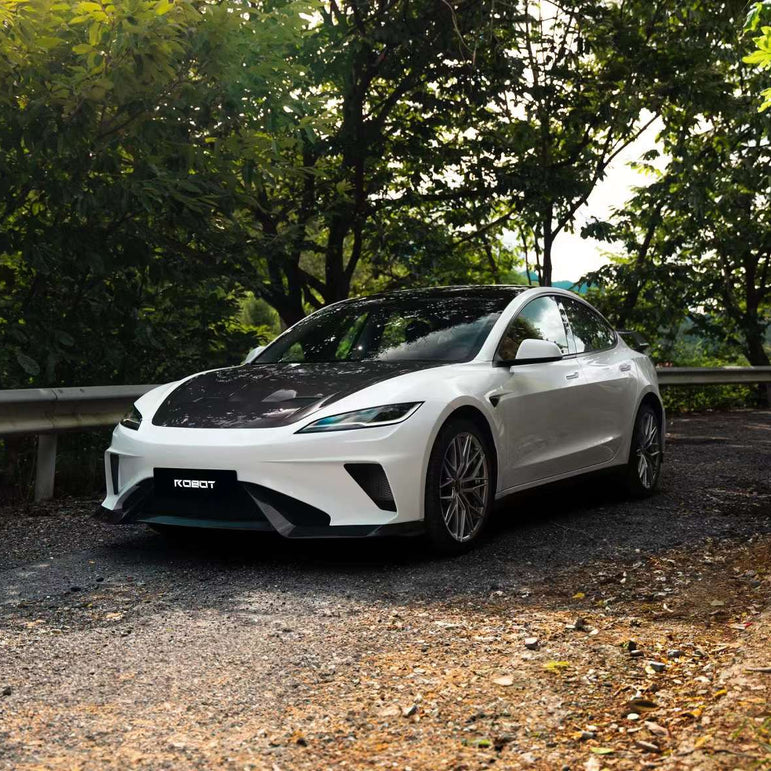 Robot Craftsman Tesla Model 3 Highland 