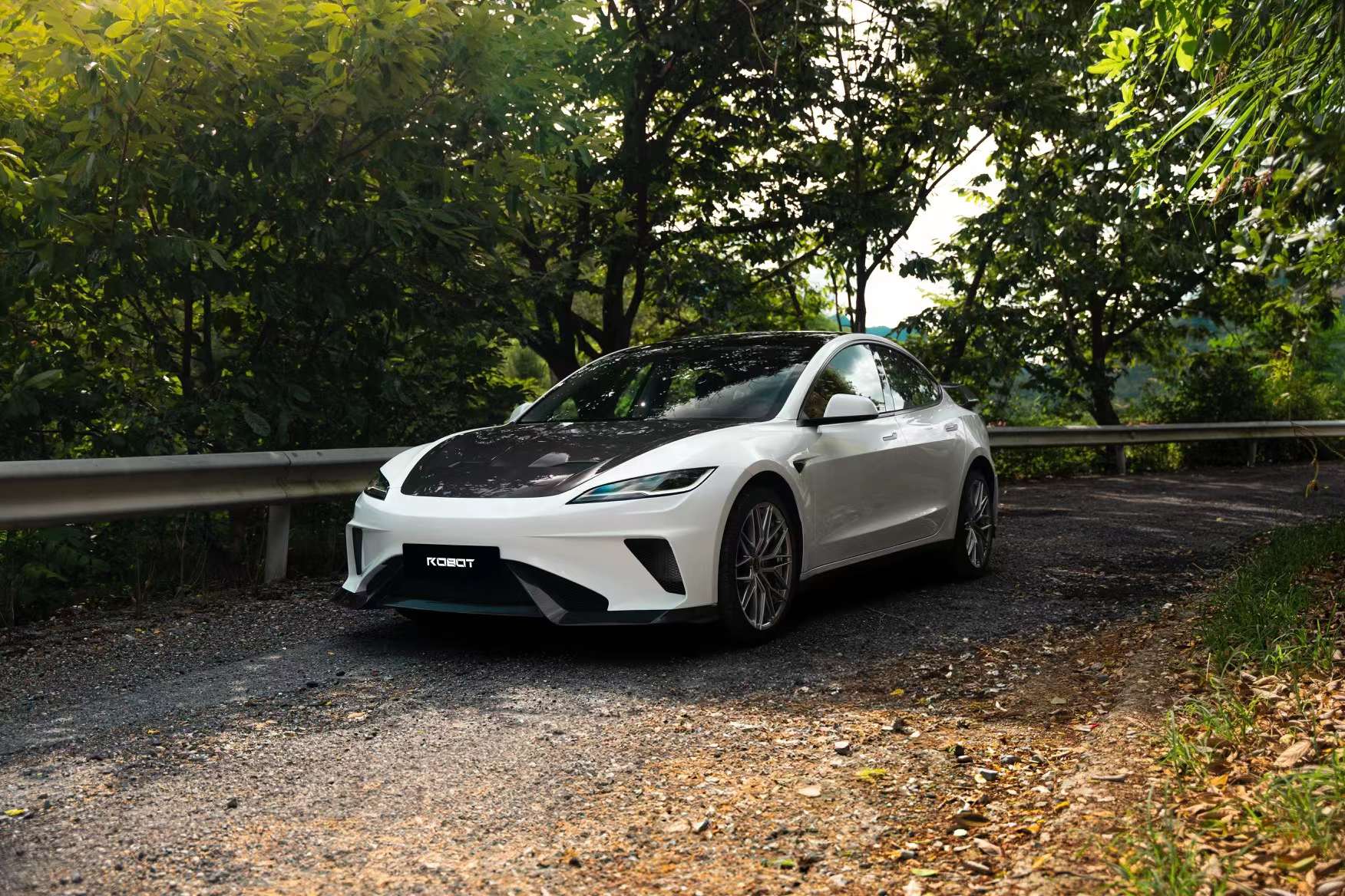 Robot Craftsman Tesla Model 3 Highland 