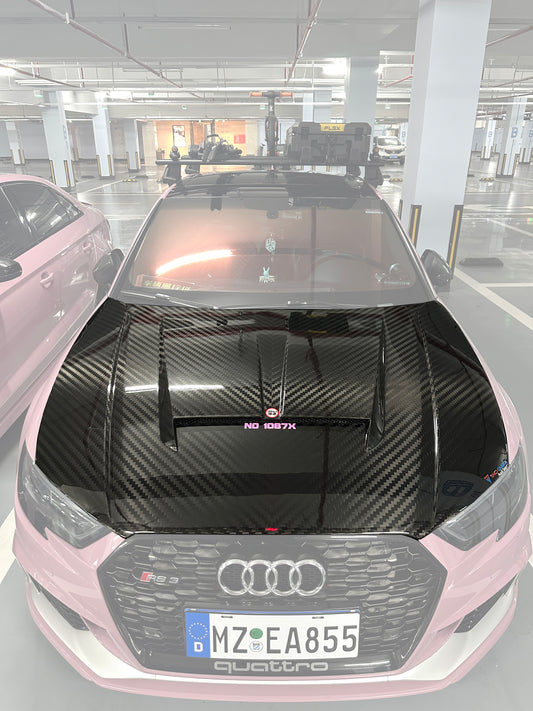 TAKD Carbon Dry Carbon Fiber Double-sided Hood Bonnet for Audi RS3 2018-2020 & S3 A3 2014-2020 3024