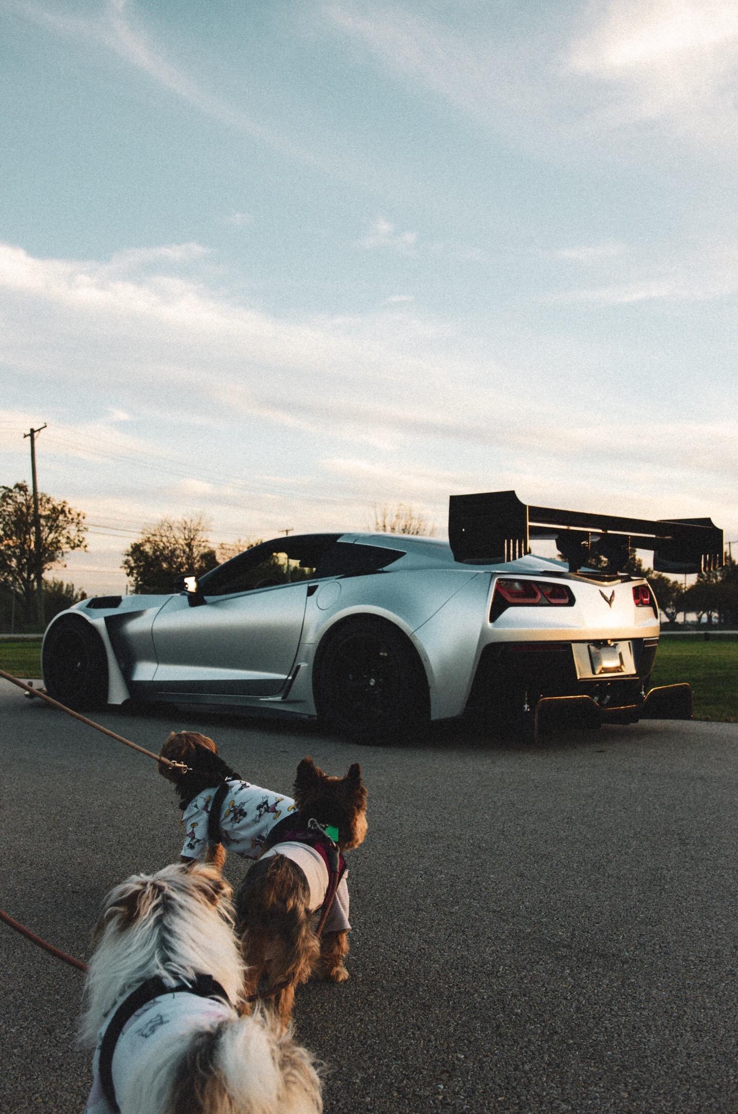 RevoZport C7 Corvette Full RACE Body Kit