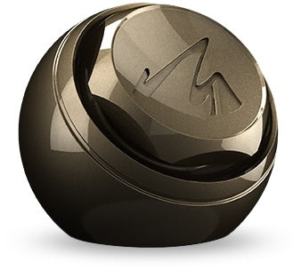 Shimmer Bronze