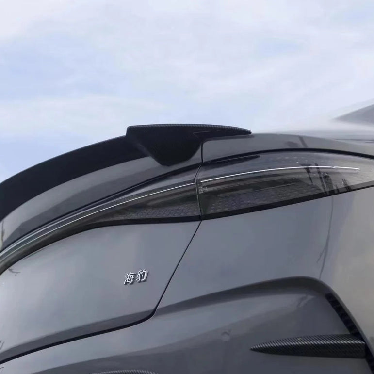 BSKT Aerodynamic Body Kit for BYD SEAL 2022+ Aftermarket Carbon Fiber Part / Bodykit - Robot Bodykits