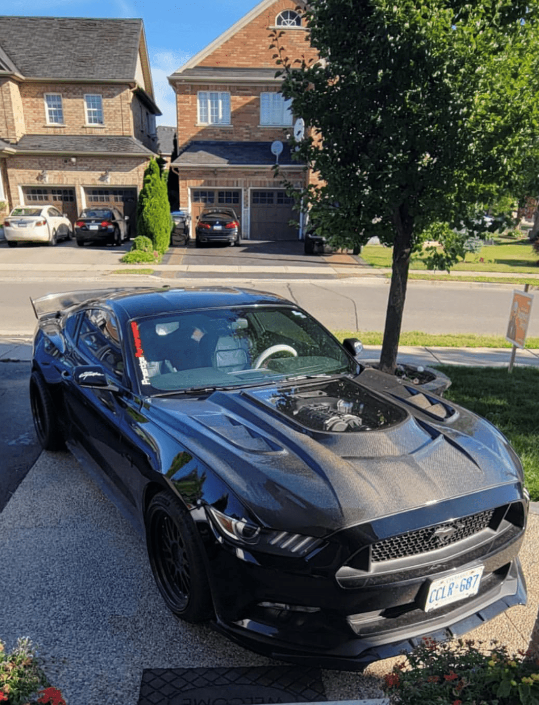 CMST Carbon Fiber Glass Transparent Hood Stage 2 ( Raised 2 inches ) for Ford Mustang S550.1 2015 - 2017 Aftermarket Carbon Fiber Part / Bodykit - Robot Bodykits