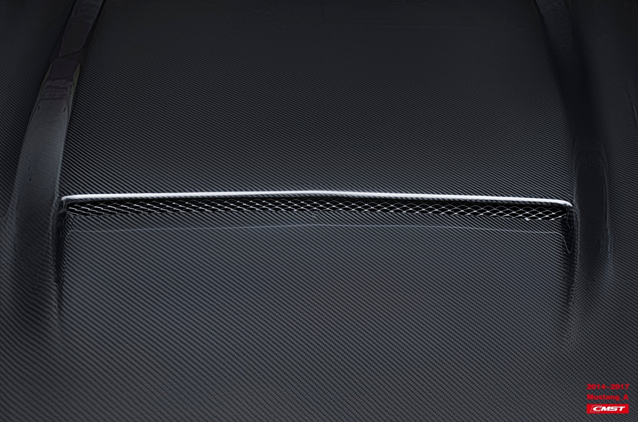 CMST Carbon Fiber Hood Ver.1 for Ford Mustang S550.1 2015 - 2017 Aftermarket Carbon Fiber Part / Bodykit - Robot Bodykits