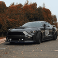 CMST Carbon Fiber Hood Ver.1 for Ford Mustang S550.1 2015 - 2017 Aftermarket Carbon Fiber Part / Bodykit - Robot Bodykits