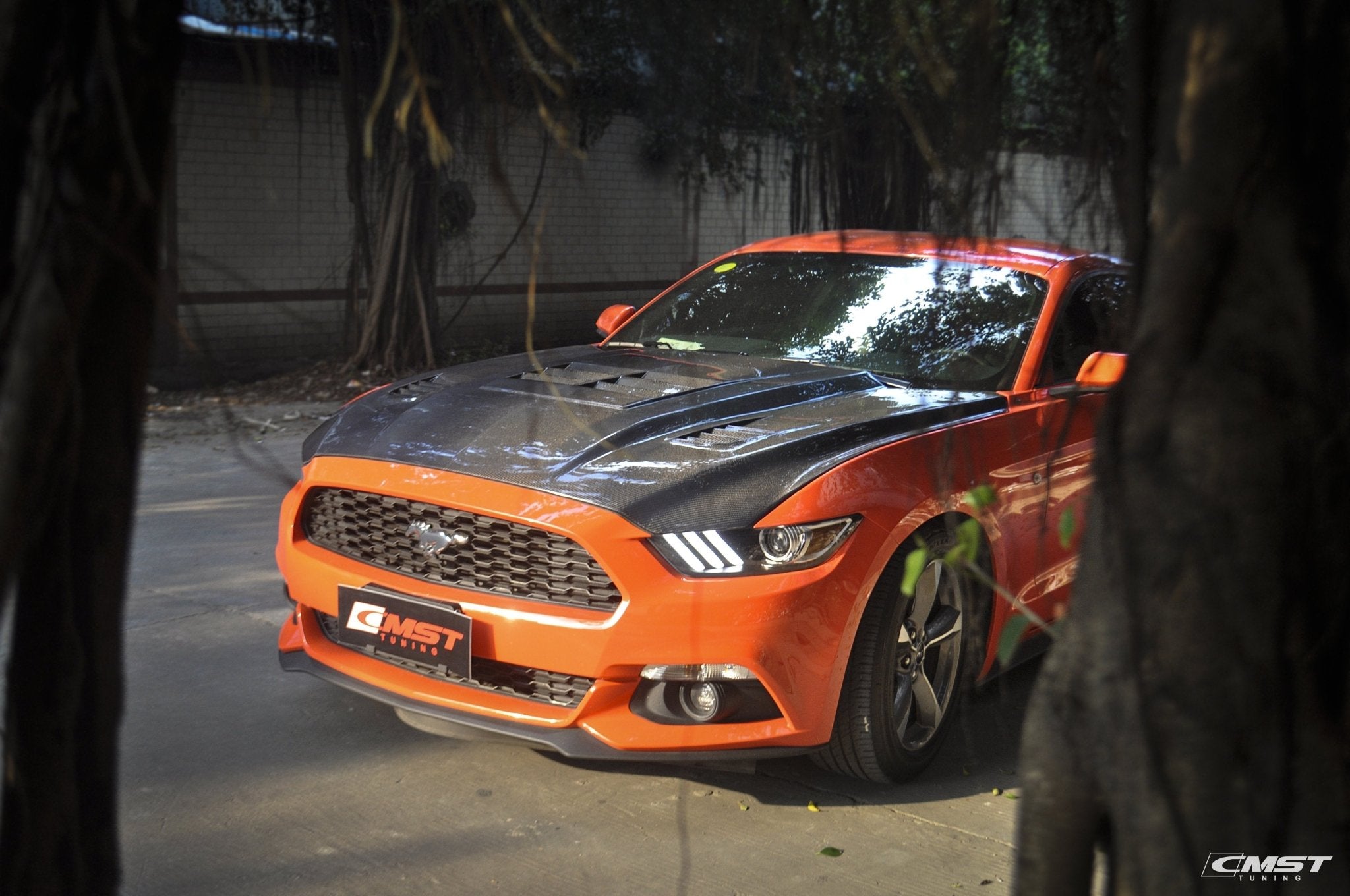 CMST Carbon Fiber Hood Ver.3 for Ford Mustang S550.1 2015 - 2017 Aftermarket Carbon Fiber Part / Bodykit - Robot Bodykits