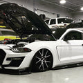 CMST Glass Transparent Hood for Ford Mustang S550.2 2018 - ON Aftermarket Carbon Fiber Part / Bodykit - Robot Bodykits