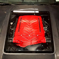 CMST Glass Transparent Hood for Ford Mustang S550.2 2018 - ON Aftermarket Carbon Fiber Part / Bodykit - Robot Bodykits
