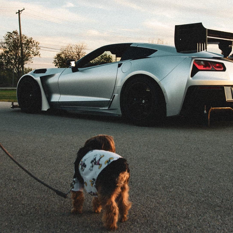 RevoZport C7 Corvette Full RACE Body Kit Aftermarket Carbon Fiber Part / Bodykit - Robot Bodykits