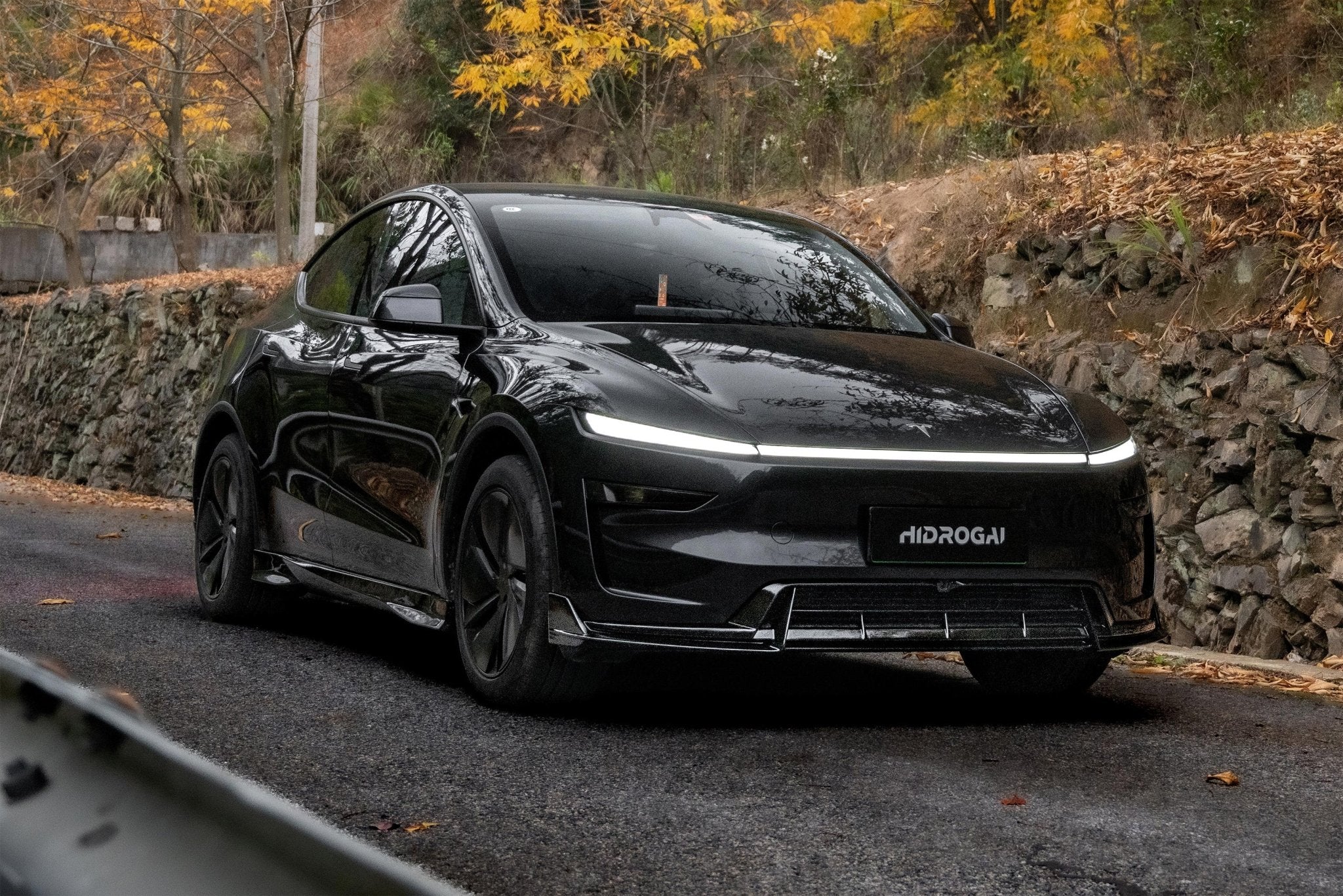 Robot 2025+ Tesla Model Y Lowline Kit Gloss Black / Carbon Bodykit Aftermarket Carbon Fiber Part / Bodykit - Robot Bodykits