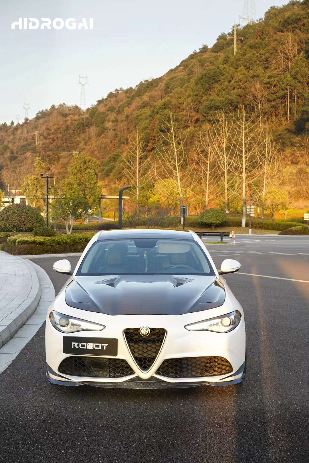 Robot Craftsman Alfa Romeo Giulia Bonnet / Hood Aftermarket Carbon Fiber Part / Bodykit - Robot Bodykits