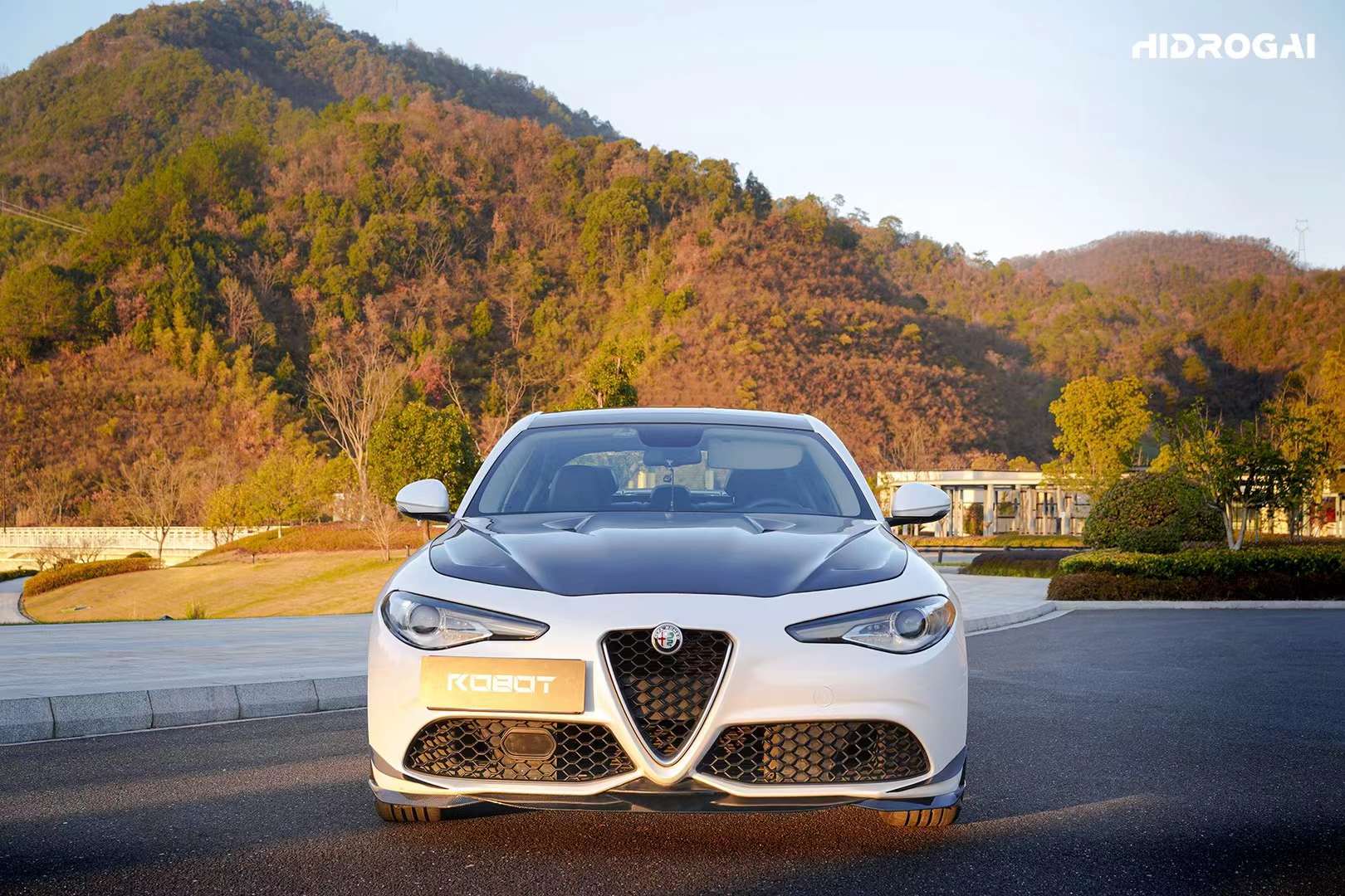 Robot Craftsman Alfa Romeo Giulia Lowline Bodykit (Hydrogai Series) - Base FRP kit Aftermarket Carbon Fiber Part / Bodykit - Robot Bodykits