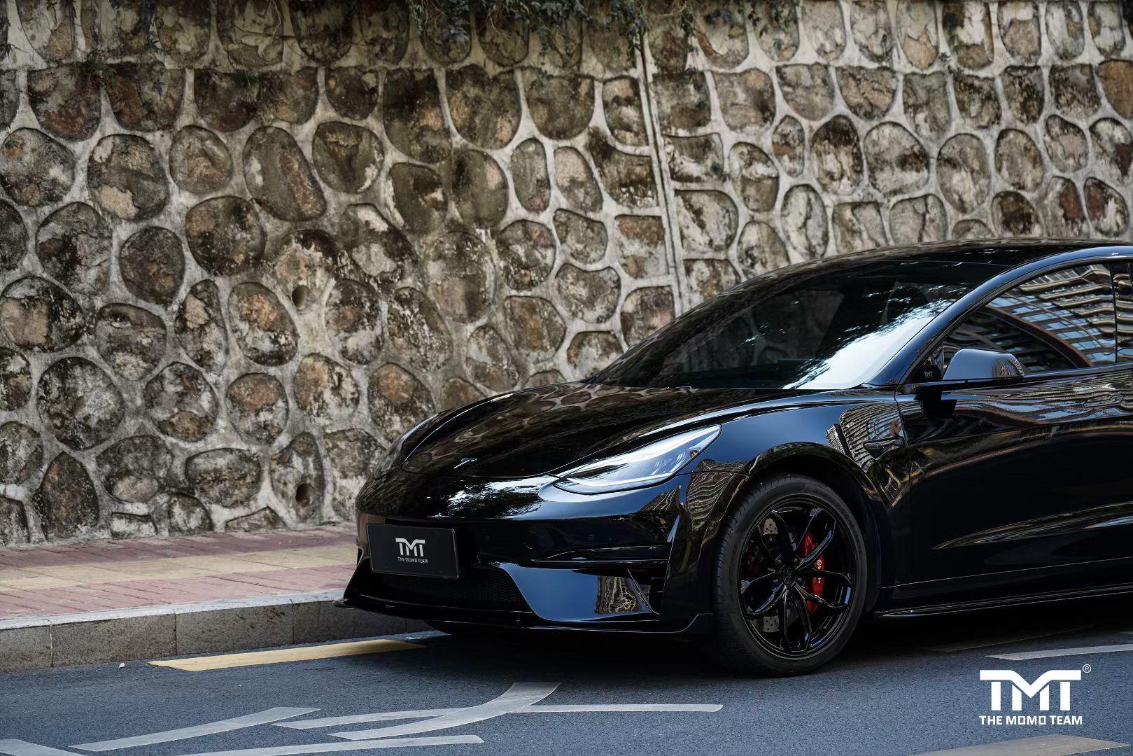 Robot Craftsman Tesla Model 3 